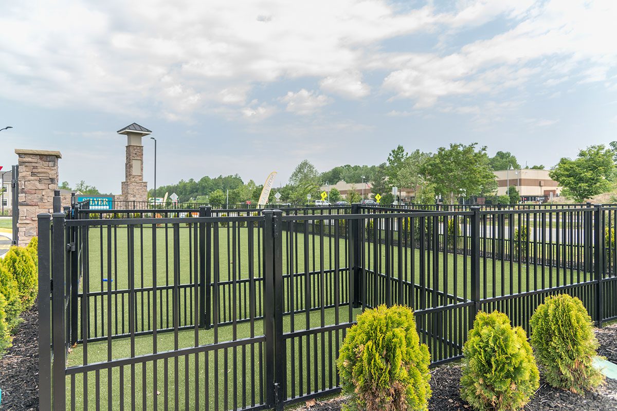 Silver Collection at Celebrate