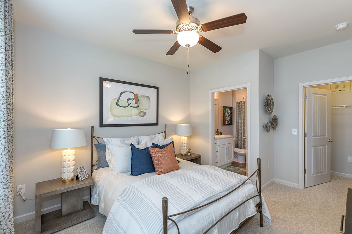 Silver Collection at Celebrate