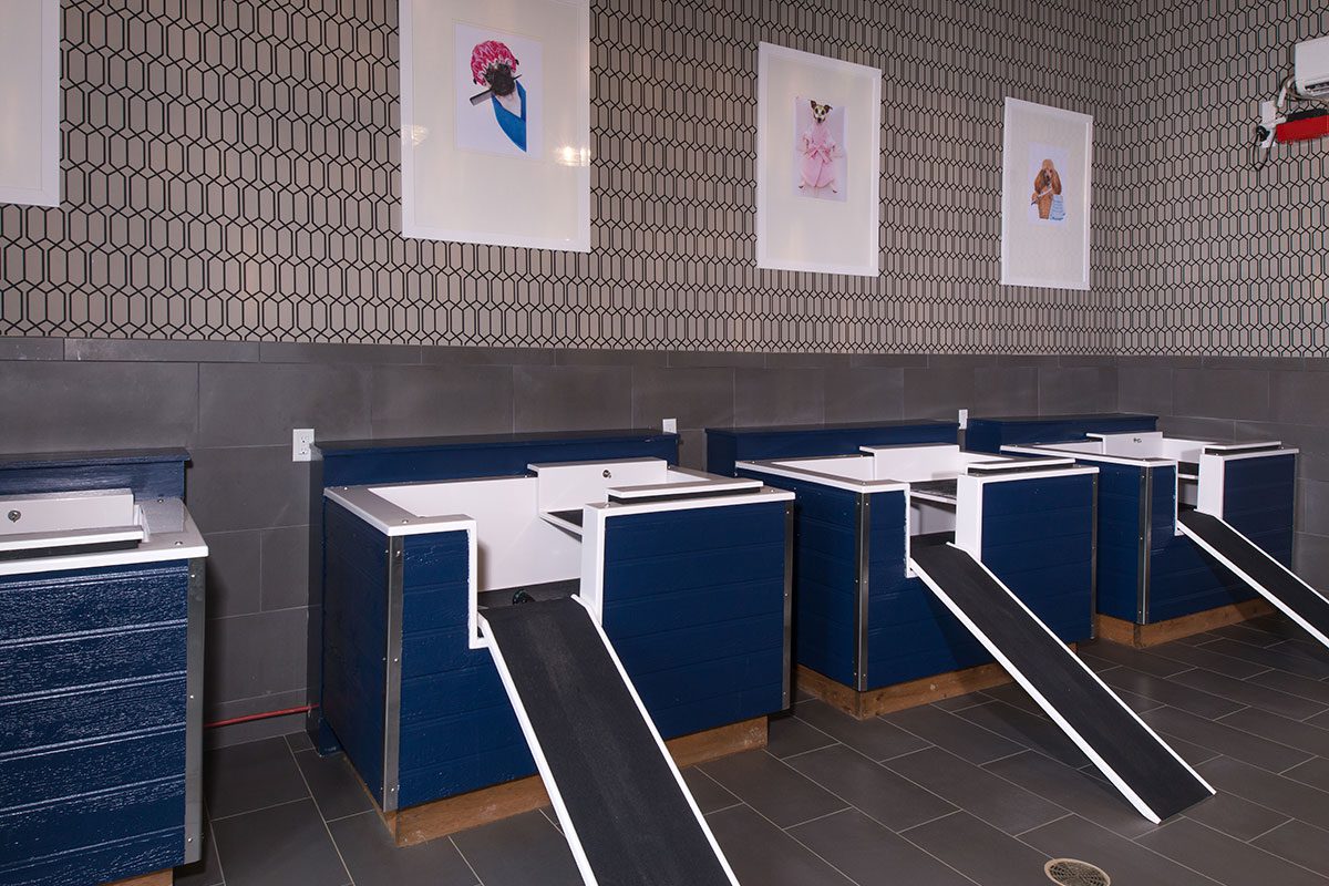 Silver Collection at Cosner’s Corner