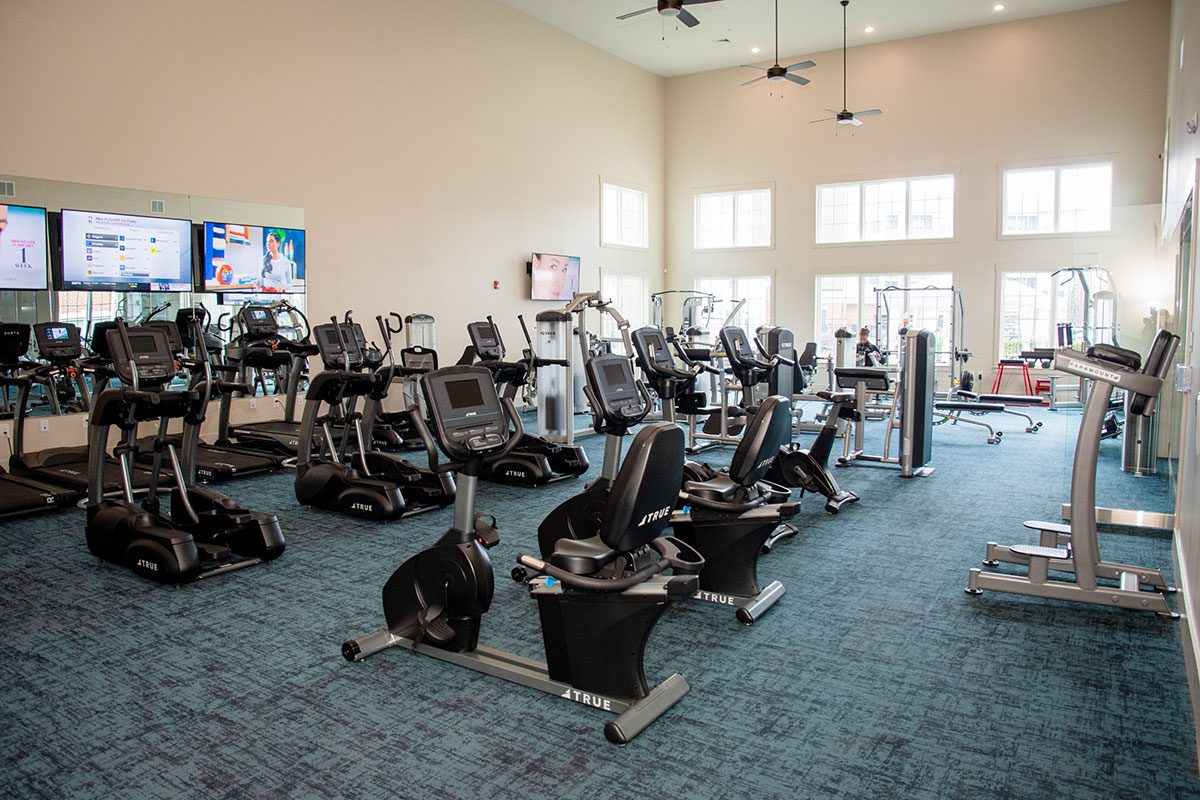 Silver Collection at Celebrate Gym