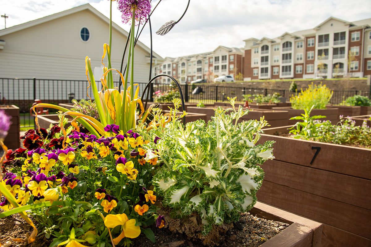 Community Garden at Jubilation by Silver Companies